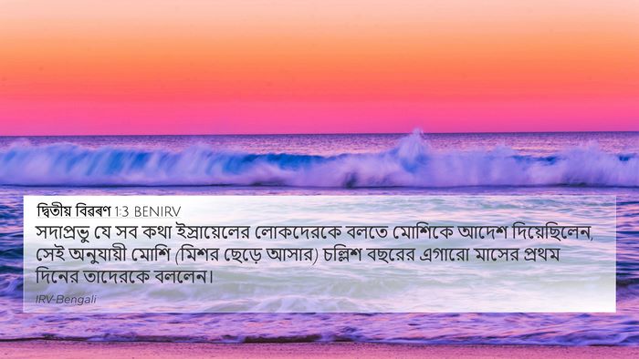 দ্বিতীয় বিৱৰণ 1:3 BENIRV Bible Verse Image