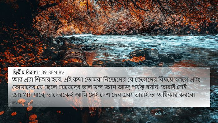দ্বিতীয় বিৱৰণ 1:39 BENIRV Bible Verse Image
