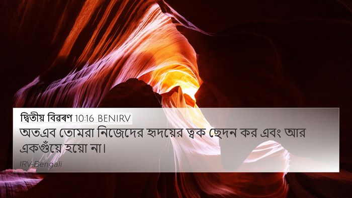দ্বিতীয় বিৱৰণ 10:16 BENIRV Bible Verse Image