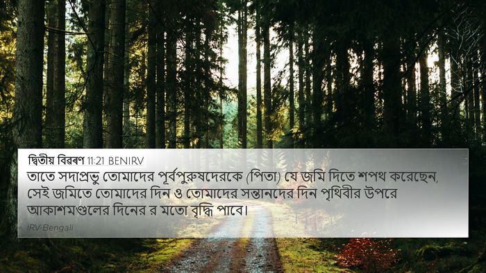 দ্বিতীয় বিৱৰণ 11:21 BENIRV 4K Wallpaper - তাতে সদাপ্রভু - 4K Wallpaper Bible Verse