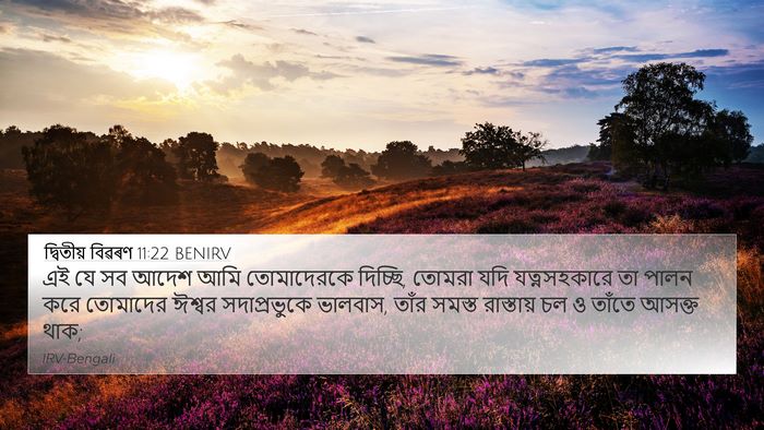 দ্বিতীয় বিৱৰণ 11:22 BENIRV Bible Verse Image