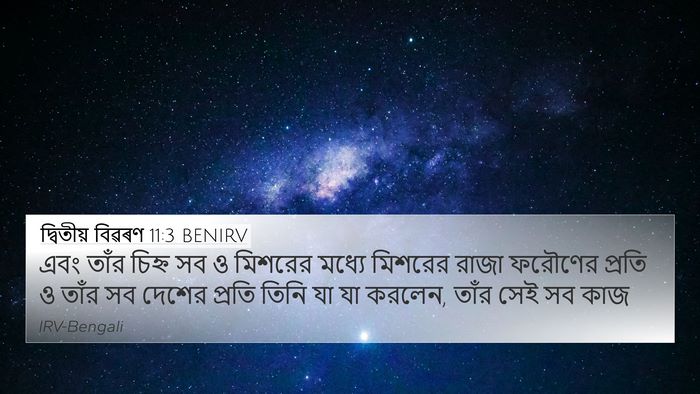 দ্বিতীয় বিৱৰণ 11:3 BENIRV 4K Wallpaper - এবং তাঁর চিহ্ন সব ও - 4K Wallpaper Bible Verse
