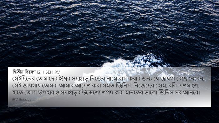 দ্বিতীয় বিৱৰণ 12:11 BENIRV Bible Verse Image