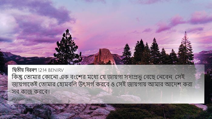 দ্বিতীয় বিৱৰণ 12:14 BENIRV Bible Verse Image