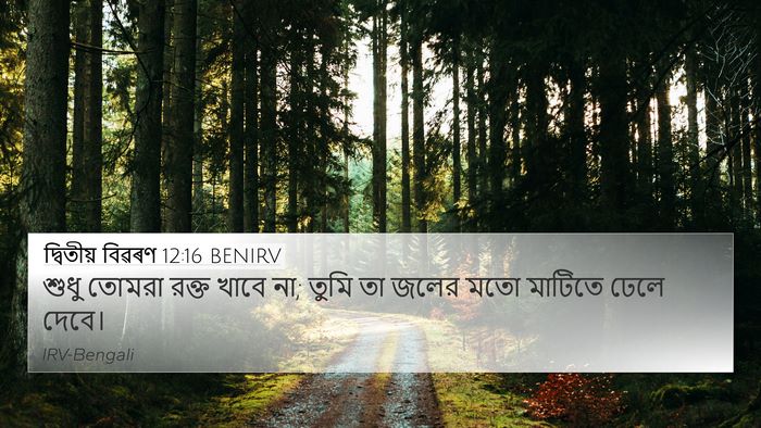 দ্বিতীয় বিৱৰণ 12:16 BENIRV Bible Verse Image