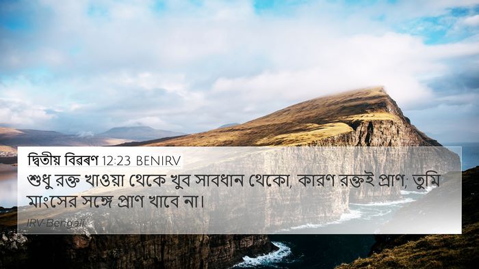 দ্বিতীয় বিৱৰণ 12:23 BENIRV 4K Wallpaper - শুধু রক্ত খাওয়া - 4K Wallpaper Bible Verse