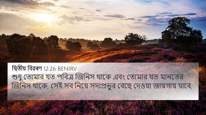 দ্বিতীয় বিৱৰণ 12:26 BENIRV Bible Verse Image