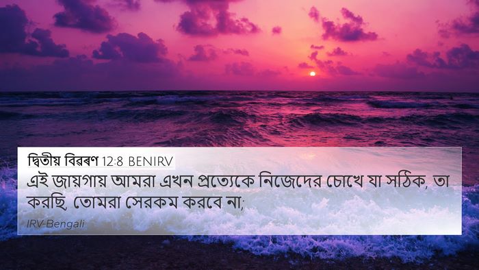 দ্বিতীয় বিৱৰণ 12:8 BENIRV Bible Verse Image