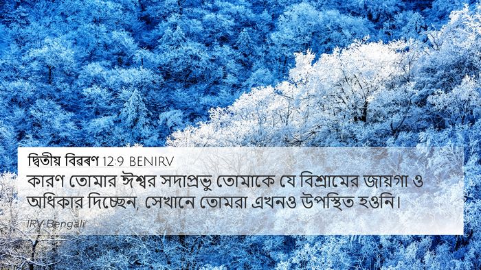 দ্বিতীয় বিৱৰণ 12:9 BENIRV Bible Verse Image