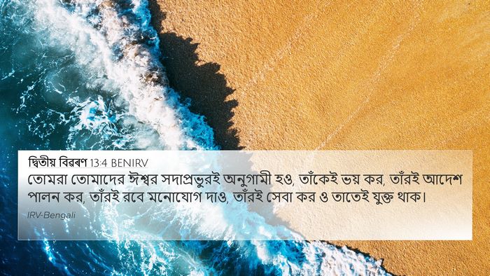 দ্বিতীয় বিৱৰণ 13:4 BENIRV Bible Verse Image