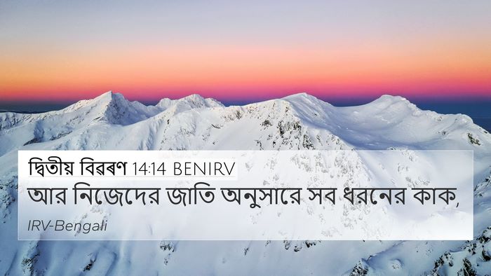 দ্বিতীয় বিৱৰণ 14:14 BENIRV 4K Wallpaper - আর নিজেদের জাতি - 4K Wallpaper Bible Verse
