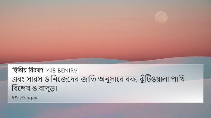 দ্বিতীয় বিৱৰণ 14:18 BENIRV 4K Wallpaper - এবং সারস ও নিজেদের - 4K Wallpaper Bible Verse
