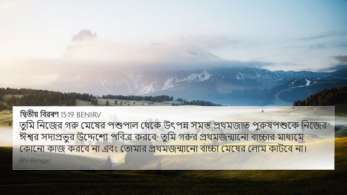 দ্বিতীয় বিৱৰণ 15:19 BENIRV Bible Verse Image