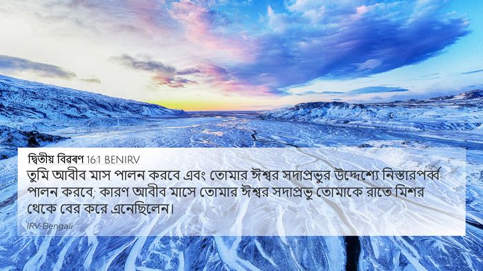 দ্বিতীয় বিৱৰণ 16:1 BENIRV Bible Verse Image