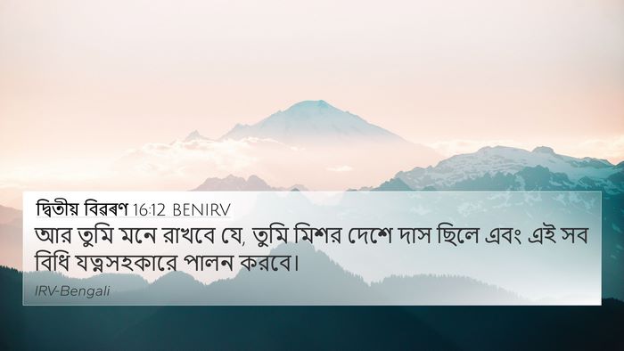 দ্বিতীয় বিৱৰণ 16:12 BENIRV 4K Wallpaper - আর তুমি মনে রাখবে - 4K Wallpaper Bible Verse