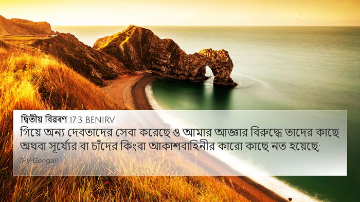 দ্বিতীয় বিৱৰণ 17:3 BENIRV Bible Verse Image
