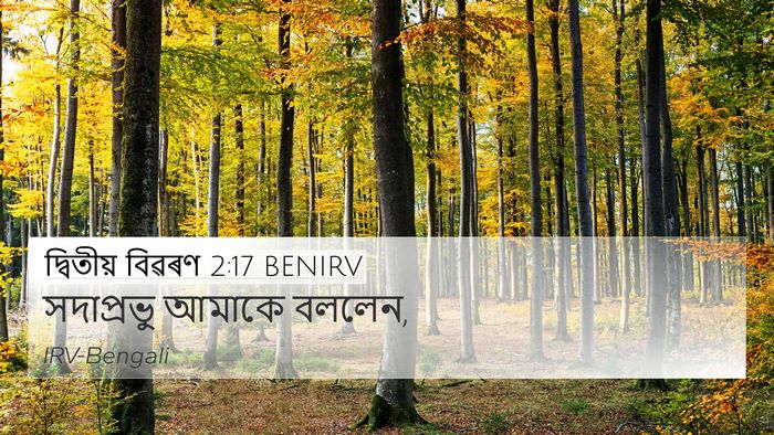দ্বিতীয় বিৱৰণ 2:17 BENIRV 4K Wallpaper - সদাপ্রভু আমাকে - 4K Wallpaper Bible Verse