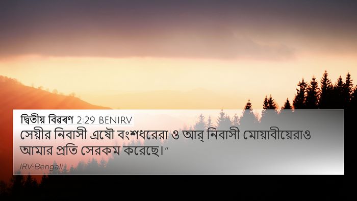 দ্বিতীয় বিৱৰণ 2:29 BENIRV Bible Verse Image