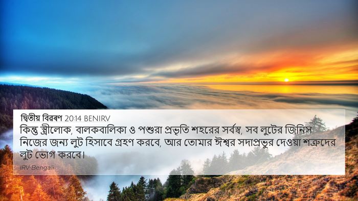 দ্বিতীয় বিৱৰণ 20:14 BENIRV Bible Verse Image