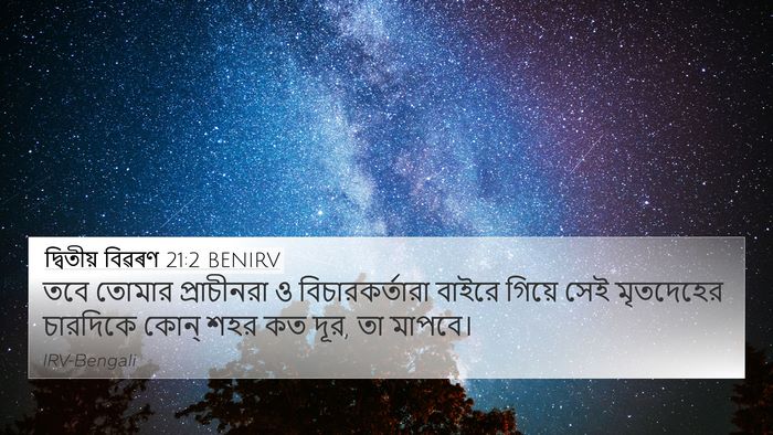 দ্বিতীয় বিৱৰণ 21:2 BENIRV 4K Wallpaper - তবে তোমার - 4K Wallpaper Bible Verse