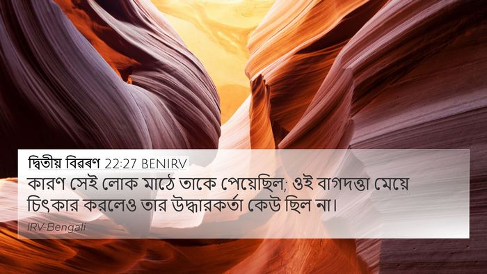 দ্বিতীয় বিৱৰণ 22:27 BENIRV 4K Wallpaper - কারণ সেই লোক মাঠে - 4K Wallpaper Bible Verse