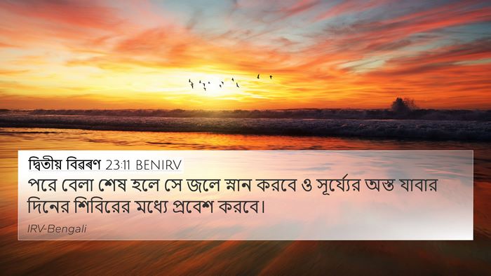 দ্বিতীয় বিৱৰণ 23:11 BENIRV 4K Wallpaper - পরে বেলা শেষ হলে সে - 4K Wallpaper Bible Verse