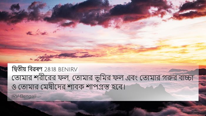 দ্বিতীয় বিৱৰণ 28:18 BENIRV Bible Verse Image