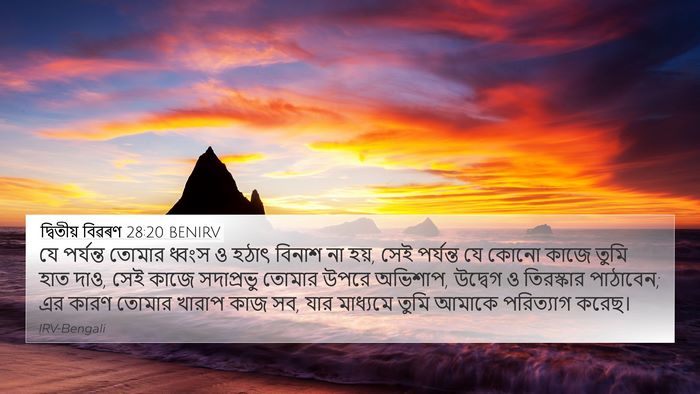 দ্বিতীয় বিৱৰণ 28:20 BENIRV Bible Verse Image