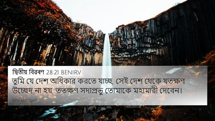 দ্বিতীয় বিৱৰণ 28:21 BENIRV Bible Verse Image
