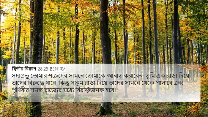 দ্বিতীয় বিৱৰণ 28:25 BENIRV Bible Verse Image