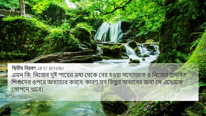 দ্বিতীয় বিৱৰণ 28:57 BENIRV Bible Verse Image