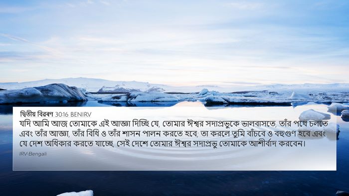 দ্বিতীয় বিৱৰণ 30:16 BENIRV Bible Verse Image