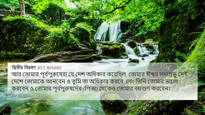 দ্বিতীয় বিৱৰণ 30:5 BENIRV 4K Wallpaper - আর তোমার - 4K Wallpaper Bible Verse