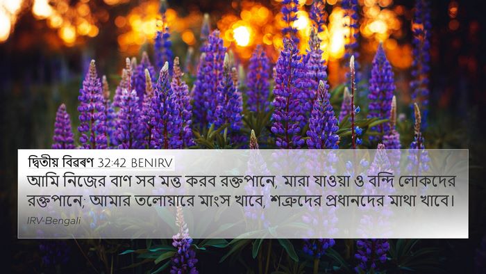 দ্বিতীয় বিৱৰণ 32:42 BENIRV Bible Verse Image