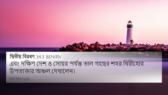 দ্বিতীয় বিৱৰণ 34:3 BENIRV Bible Verse Image