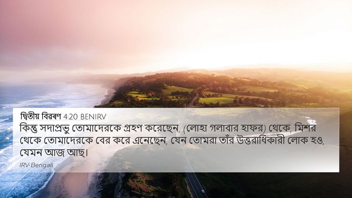 দ্বিতীয় বিৱৰণ 4:20 BENIRV Bible Verse Image