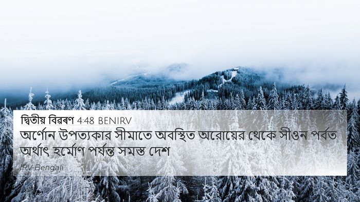 দ্বিতীয় বিৱৰণ 4:48 BENIRV 4K Wallpaper - অর্ণোন উপত্যকার - 4K Wallpaper Bible Verse