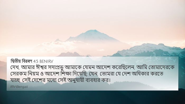 দ্বিতীয় বিৱৰণ 4:5 BENIRV Bible Verse Image