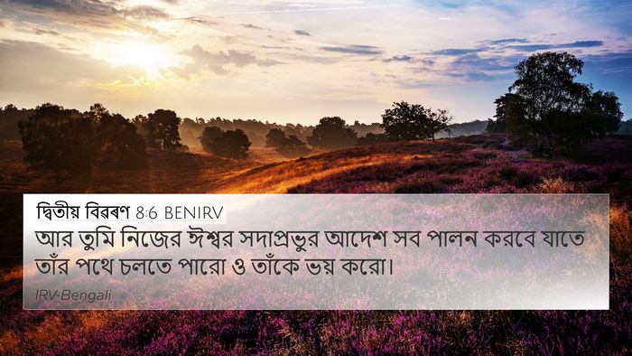 দ্বিতীয় বিৱৰণ 8:6 BENIRV 4K Wallpaper - আর তুমি নিজের - 4K Wallpaper Bible Verse