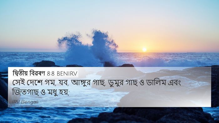 দ্বিতীয় বিৱৰণ 8:8 BENIRV 4K Wallpaper - সেই দেশে গম, যব, - 4K Wallpaper Bible Verse