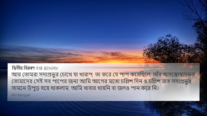 দ্বিতীয় বিৱৰণ 9:18 BENIRV Bible Verse Image