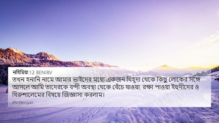 নহিমিয়া 1:2 BENIRV Bible Verse Image