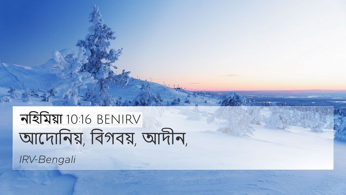নহিমিয়া 10:16 BENIRV 4K Wallpaper - আদোনিয়, বিগবয়, - 4K Wallpaper Bible Verse