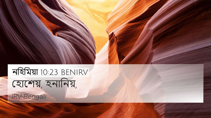 নহিমিয়া 10:23 BENIRV Bible Verse Image