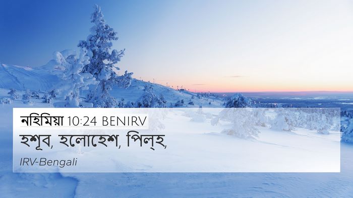 নহিমিয়া 10:24 BENIRV 4K Wallpaper - হশূব, হলোহেশ, - 4K Wallpaper Bible Verse