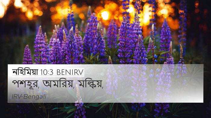 নহিমিয়া 10:3 BENIRV 4K Wallpaper - পশহূর, অমরিয়, - 4K Wallpaper Bible Verse