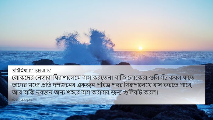 নহিমিয়া 11:1 BENIRV Bible Verse Image