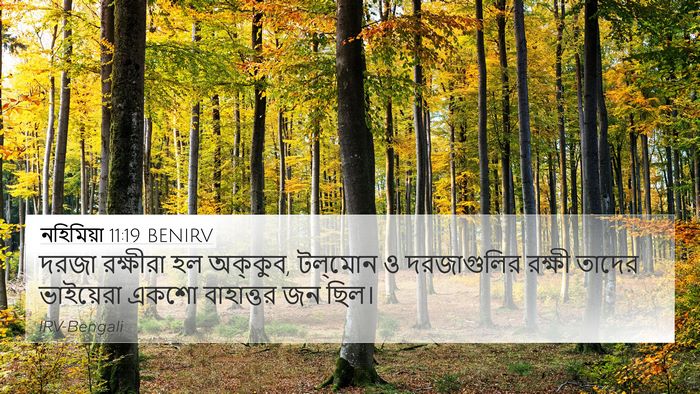 নহিমিয়া 11:19 BENIRV Bible Verse Image