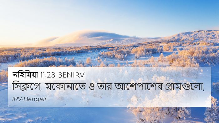 নহিমিয়া 11:28 BENIRV Bible Verse Image