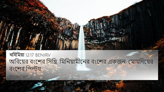 নহিমিয়া 12:17 BENIRV Bible Verse Image